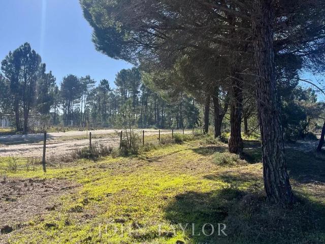 Terreno | 7,5 ha | Muda, Comporta