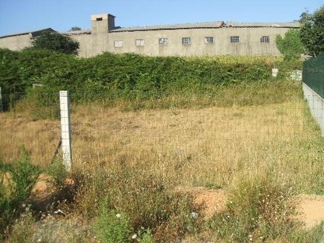 Terreno