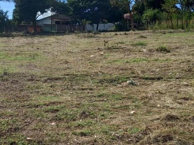 Terreno