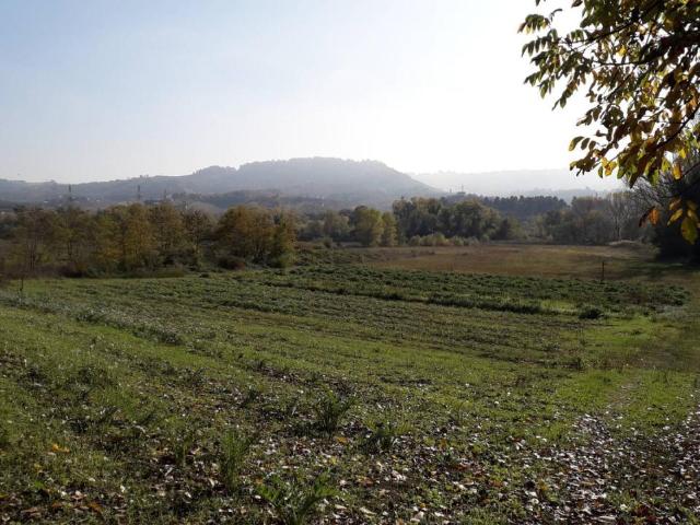 Terreno 8600mq