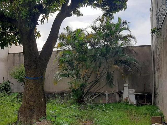 Terreno