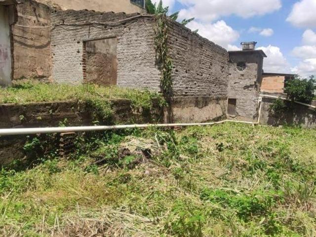 Terreno