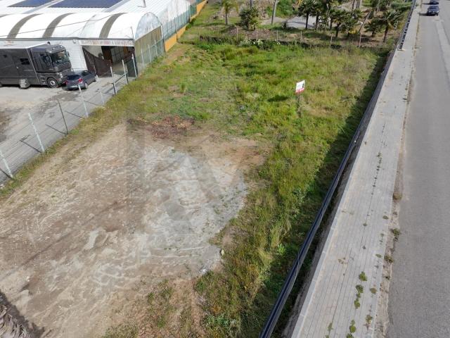Terreno