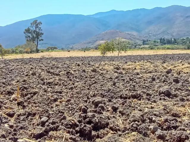 Terreno