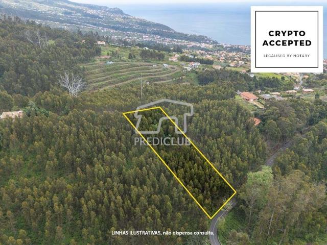 Terreno 889 m2 Calheta