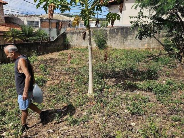 Terreno