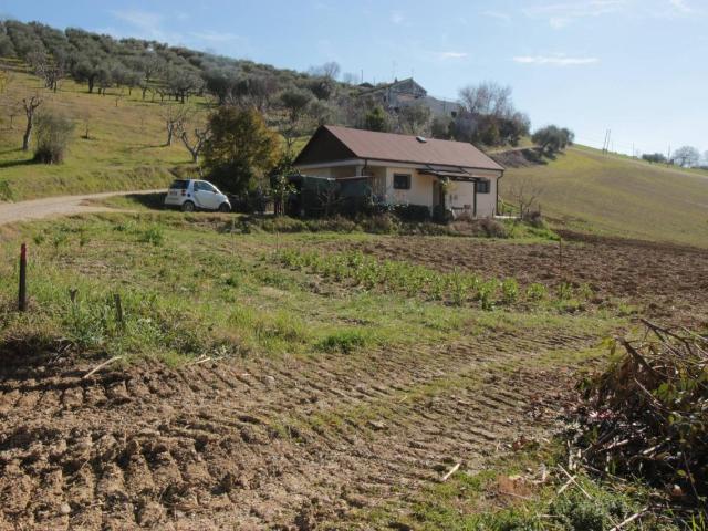 Terreno 8000mq
