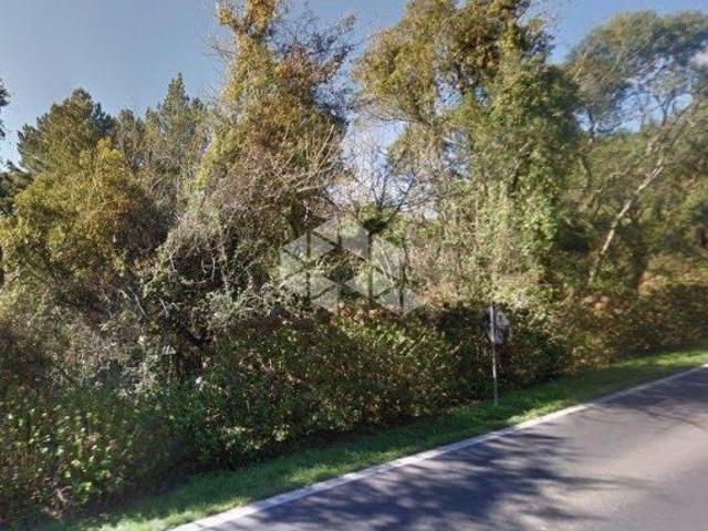 Terreno 80.000 m² Gramado RS