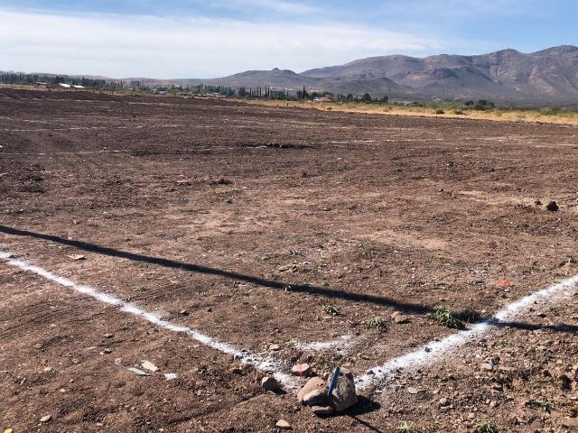 Terreno