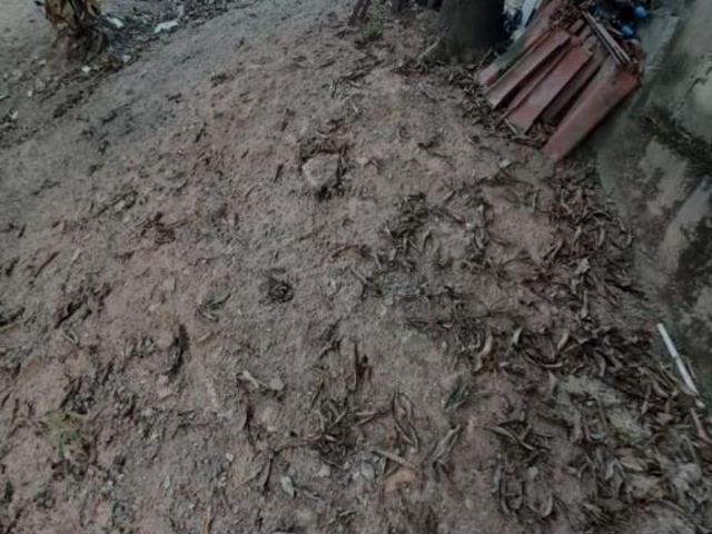 Terreno