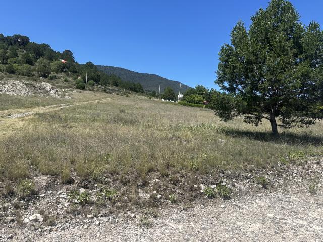 Terreno