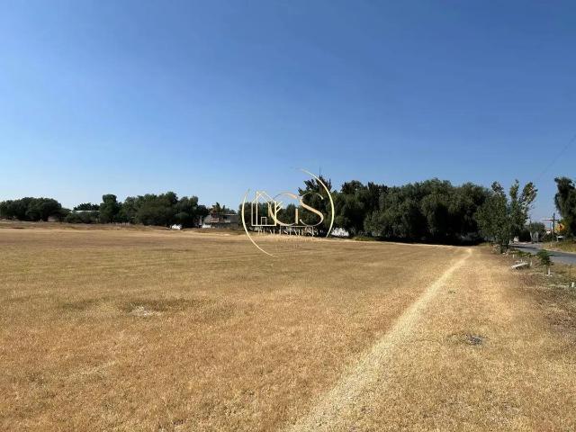 TERRENO 8.2 HECTAREAS EN VENTA RANCHO NUEVO APASEO EL GRANDE