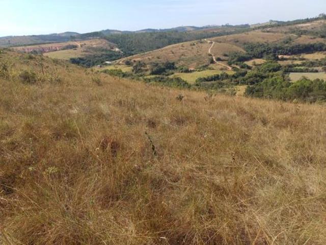 TERRENO 8 HECTARES C/ ÁGUA NOS FUNDOS E LUZ PRÓXIMA À VENDA EM PIEDADE DOS GERAIS/MG
