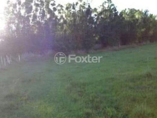 Terreno, 98000 m², em Esteio Velho