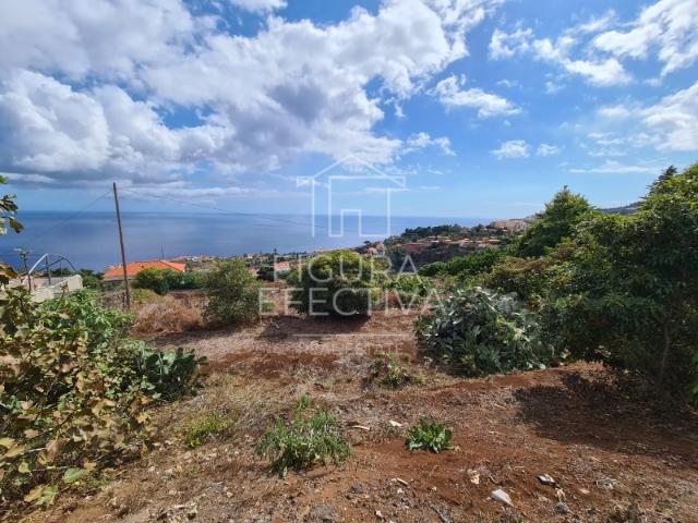 Terreno 9980m2 com uma Moradia V2 Caniço, Santa Cruz