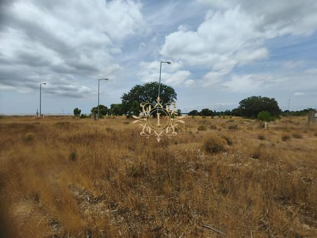 Terreno 900 m² | Olhos de Água – Quinta do Anjo