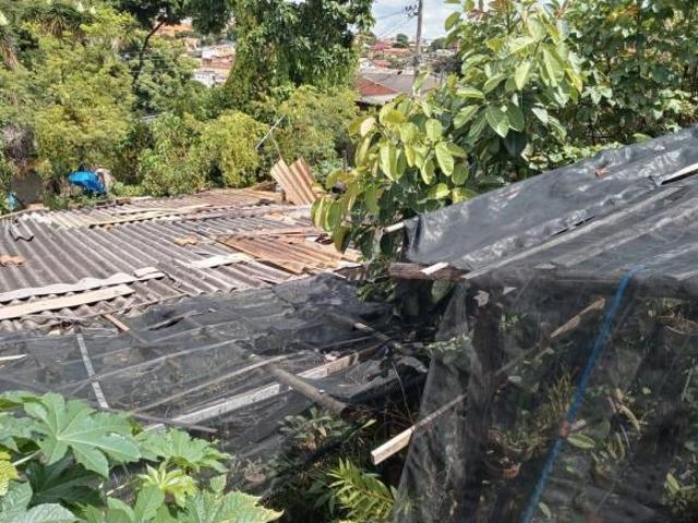 Terreno