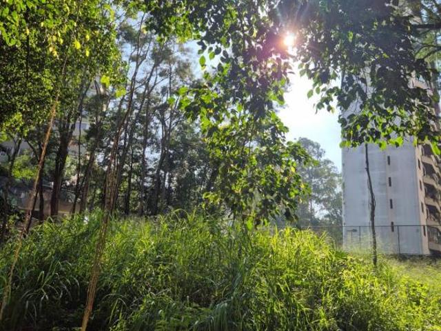 Terreno 912m² / Plano / Poucas arvores / Coração da Vila Andrade