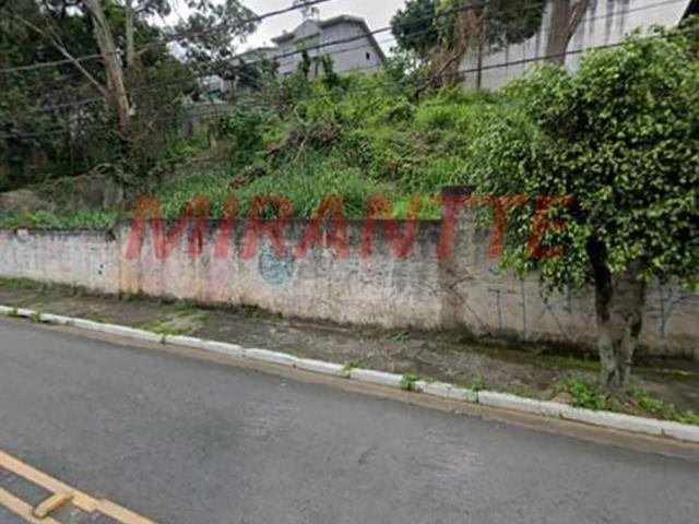 Terreno