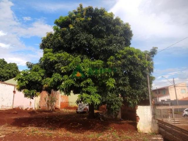 Terreno