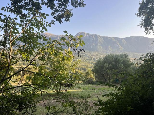 Terreno 9205mq