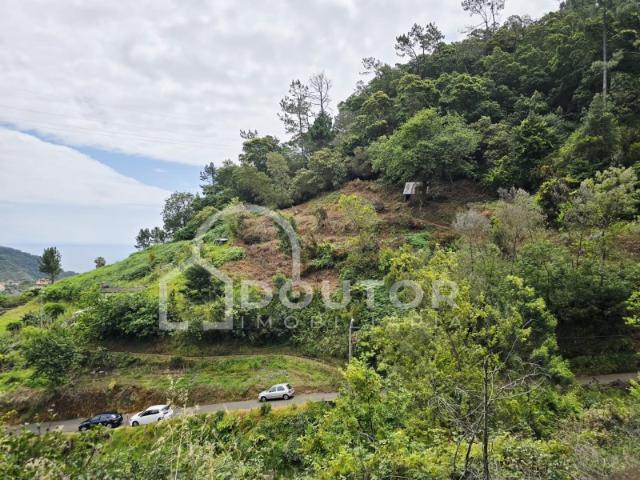 Terreno com palheiro 9.000m2 Porto da Cruz