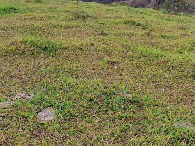 TERRENO 9,5 HECTARES FORMADO, C/ ÁGUA CORRENTE E LUZ LIGADA À VENDA EM PIRACEMA/MG