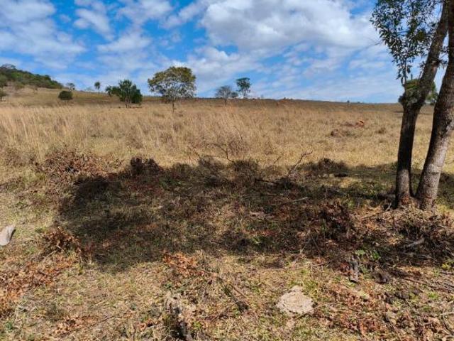 TERRENO 9 HECTARES C/ BOA TOPOGRAFIA, NASCENTES ALTAS, ÁGUA POR GRAVIDADE E LUZ LIGADA À VENDA EM PI