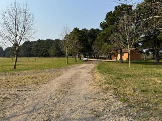 Terreno/Área São Luiz do Purunã