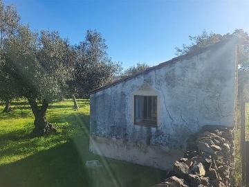 Finca/Casa Rural en venta en Trujillo, Cáceres