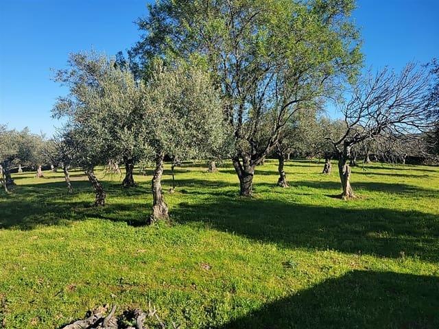 Finca/Casa Rural en venta en Trujillo, Cáceres