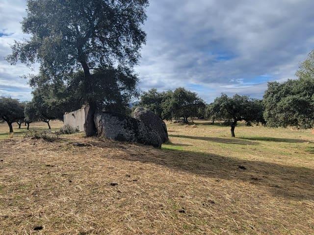 Finca/Casa Rural en venta en Trujillo, Cáceres
