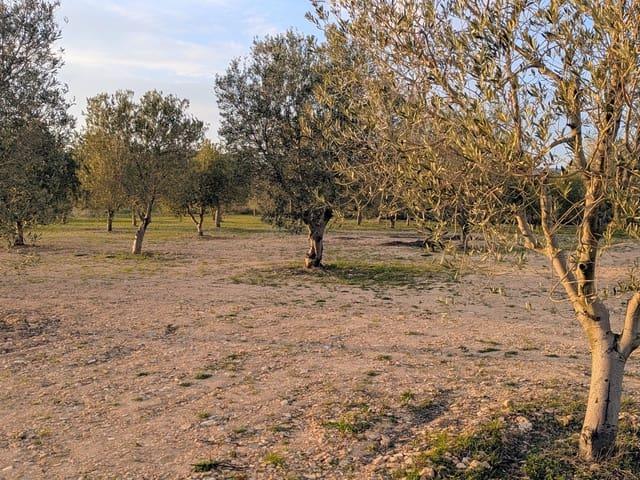 Finca/Casa Rural en venta en Gandesa, Tarragona