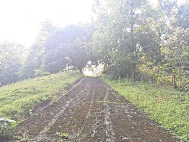 TERRENO EN VENTA EN XOLOXTLA XALAPA | 56,493 M²