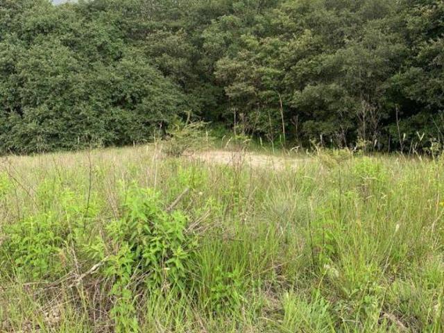 TERRENO/LOTE EN VENTA EN HARAS DEL BOSQUE,PUEBLA