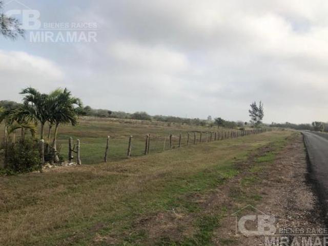 Terrenos 5 en venta en Ejido barra del tordo, Aldama, Tams