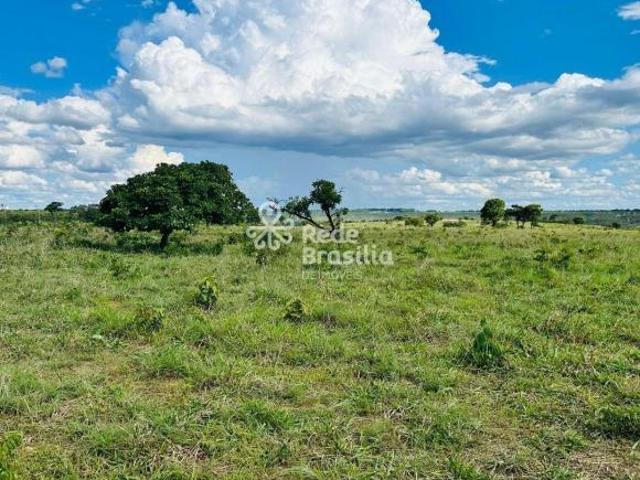 TERRENOS 5.000M BR 060 PRÓXIMO À BRASILIA