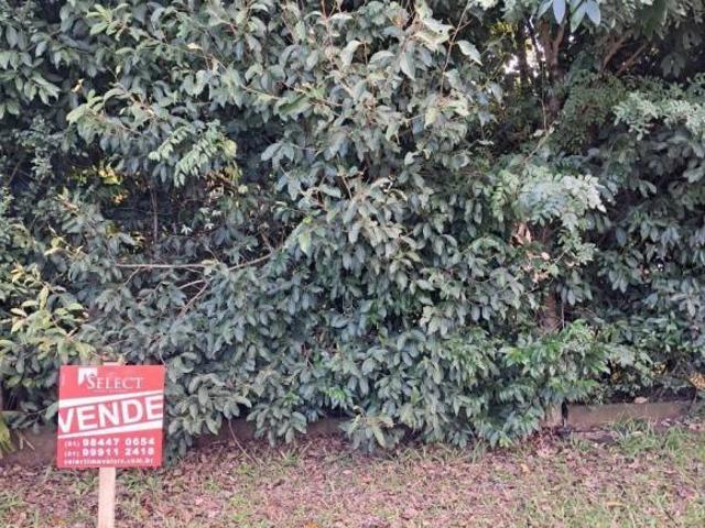 Terrenos