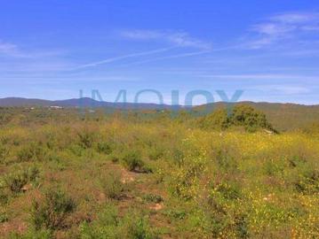 Terrenos Tavira Faro 8800 509 DS96328996