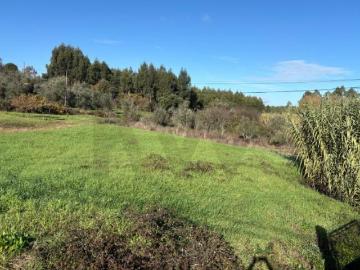 Terrenos Tomar Tomar DS101156728