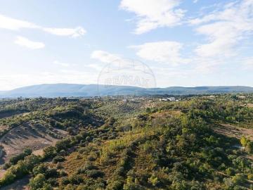 Terrenos Torres Novas Torres Novas DS97192280
