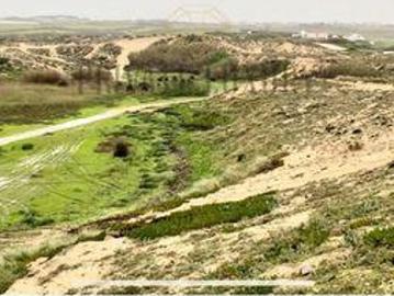 Terrenos Torres Vedras Lisboa DS97108506