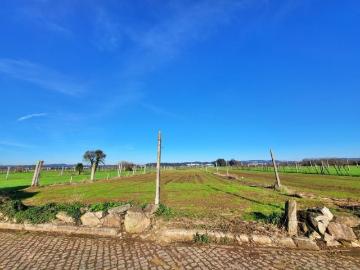 Terrenos Trofa Trofa DS101863009