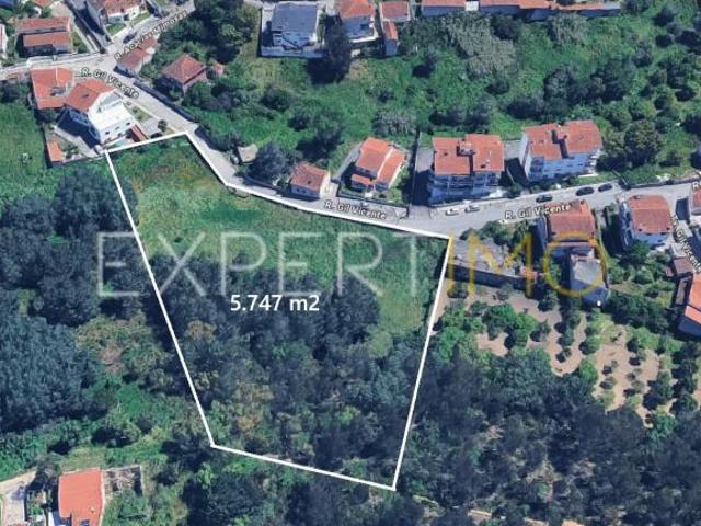 Terrenos União das freguesias de São Martinho do Bispo e Ribeira de Frades Coimbra DS101501485