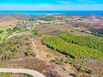 Terrenos Vila Do Bispo Algarve 8650 060 DS96314226