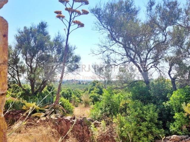 Terrenos Vila Real de Santo António Vila Real de Santo António DS93980619