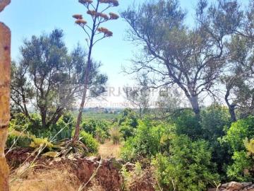 Terrenos Vila Real de Santo António Vila Real de Santo António DS93980619