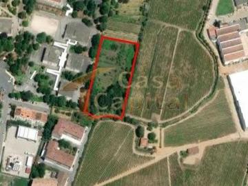 Terrenos Vila Real Vila Real 5000 DS98918842