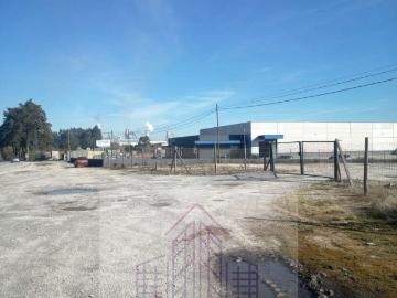 Terrenos Viseu Nelas 3520 ES98384219
