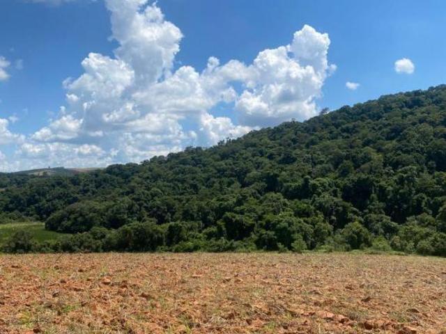 Terrenos a partir de 500 m², localizados no Bairro Colégio